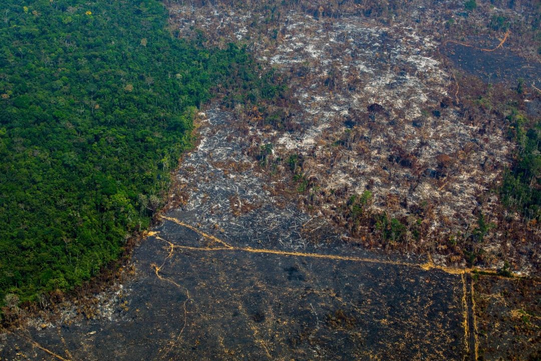 Vista aérea de la deforestación en la Reserva Biológica Nascentes da Serra do Cachimbo en Altamira, estado de Pará, Brasil, en la cuenca del Amazonas