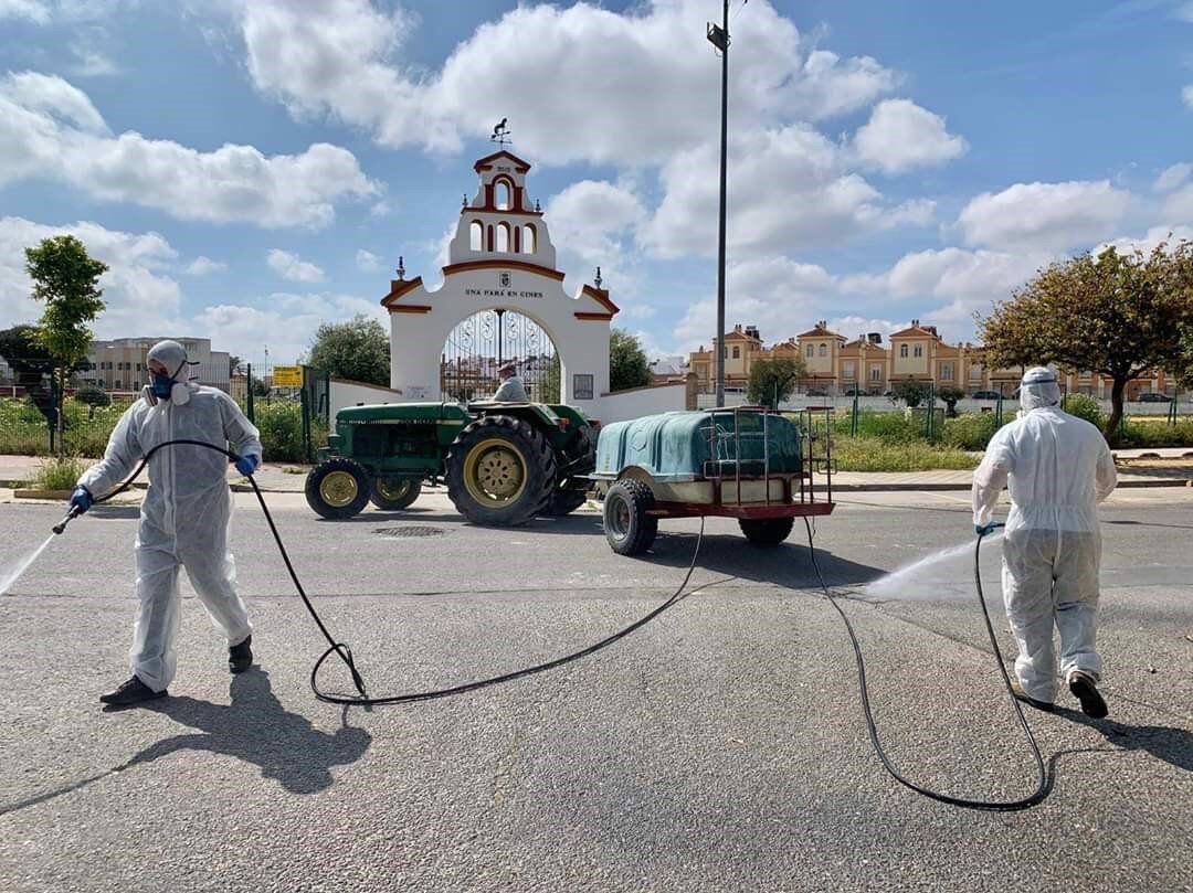 Tareas de desinfección en Gines