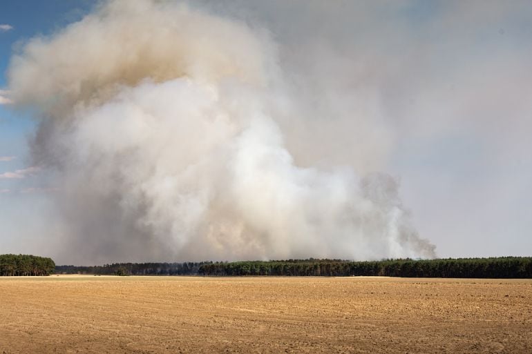 Incendio forestal