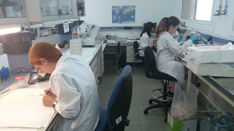 Un grupo de investigadoras trabaja en un laboratorio español dedicado a la biomedicina. 