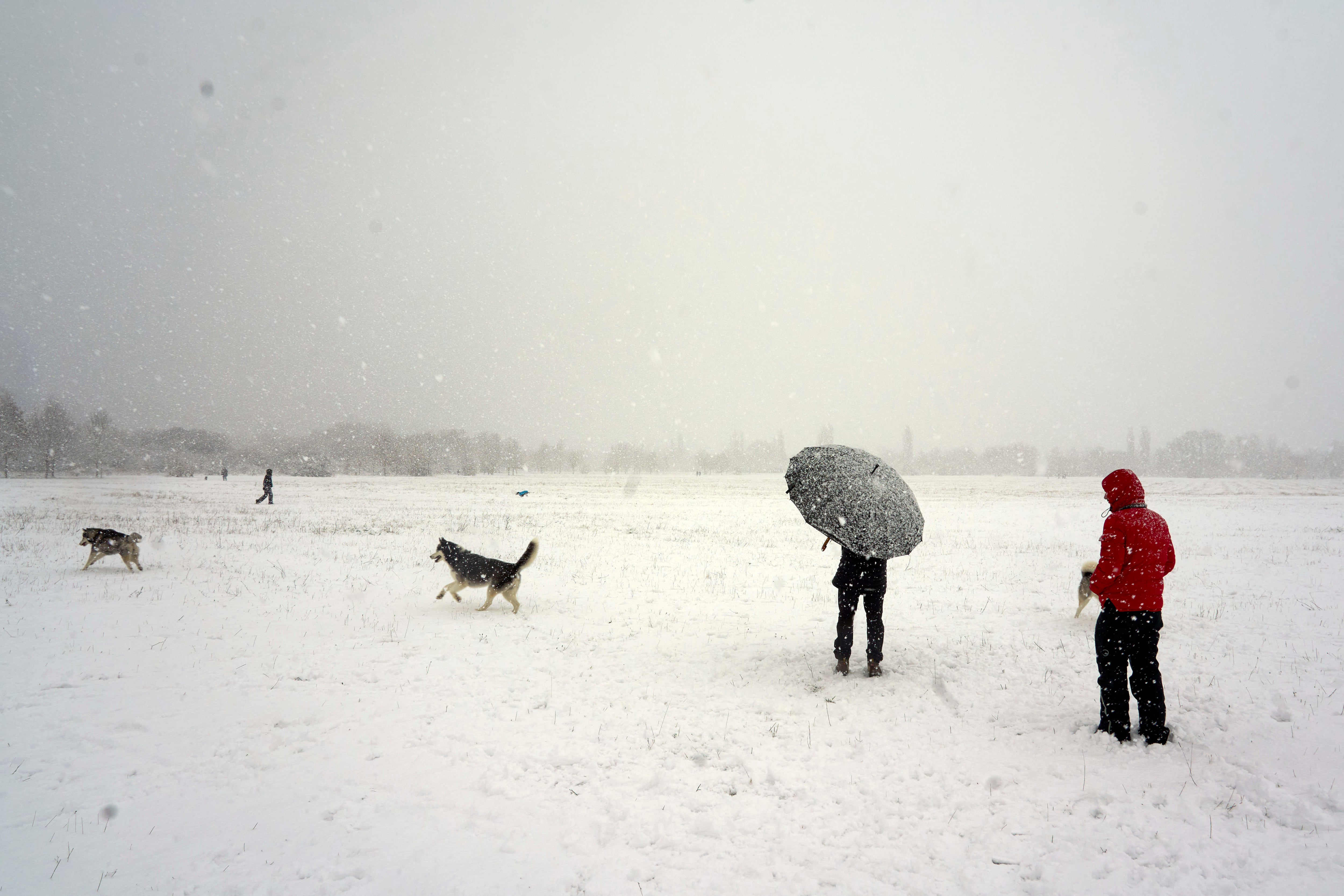 VITORIA, 06/01/2026.- Vitoria ha amanecido cubierta de nieve tras una noche gélida en Euskadi con temperaturas generalizadas por debajo de los ceros grados y con nevadas que han obligado a cerrar dos puertos de la red secundaria y a usar cadenas en varios puntos de la principal. EFE/L. Rico