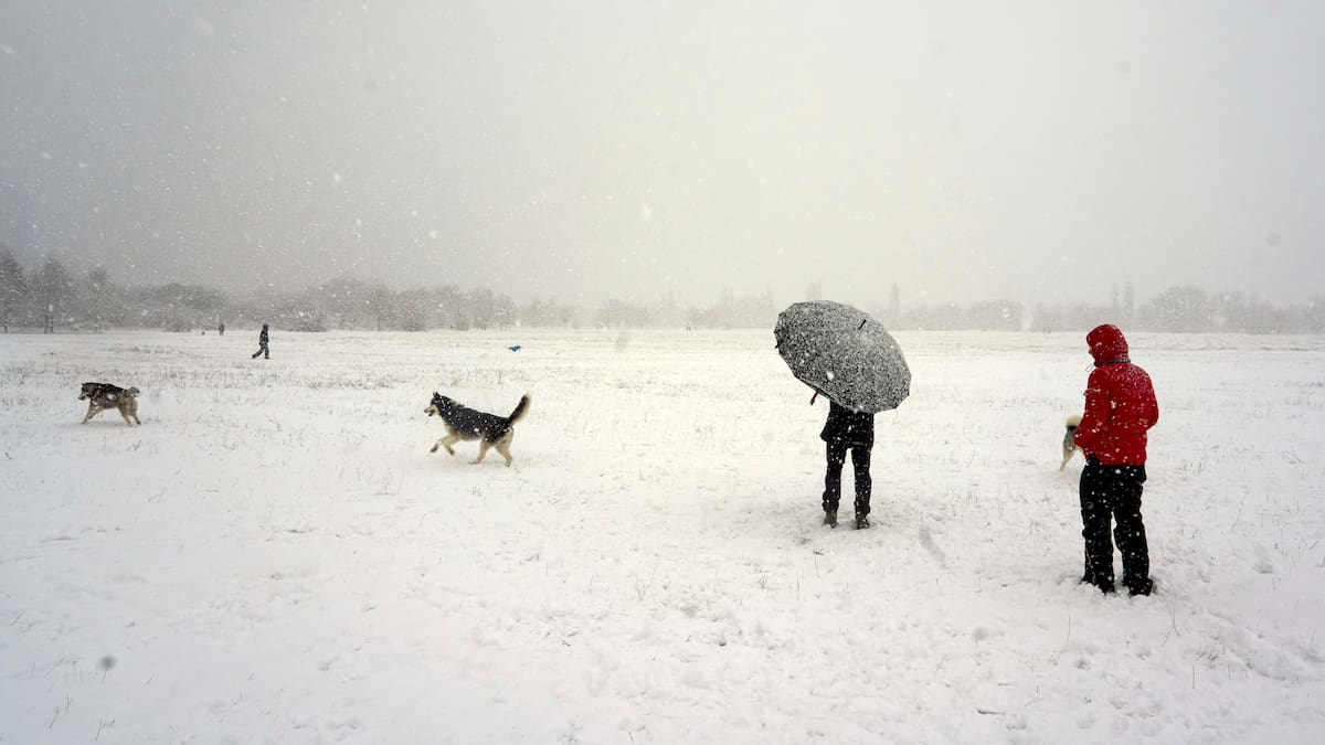 Euskadi registra mínimas de hasta −9,1 ºC y mantiene el aviso amarillo por heladas este miércoles
