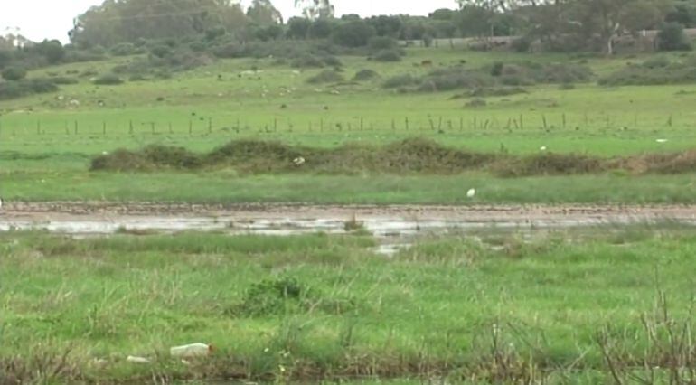 Finca "Cortjo Botafuegos", en Algeciras
