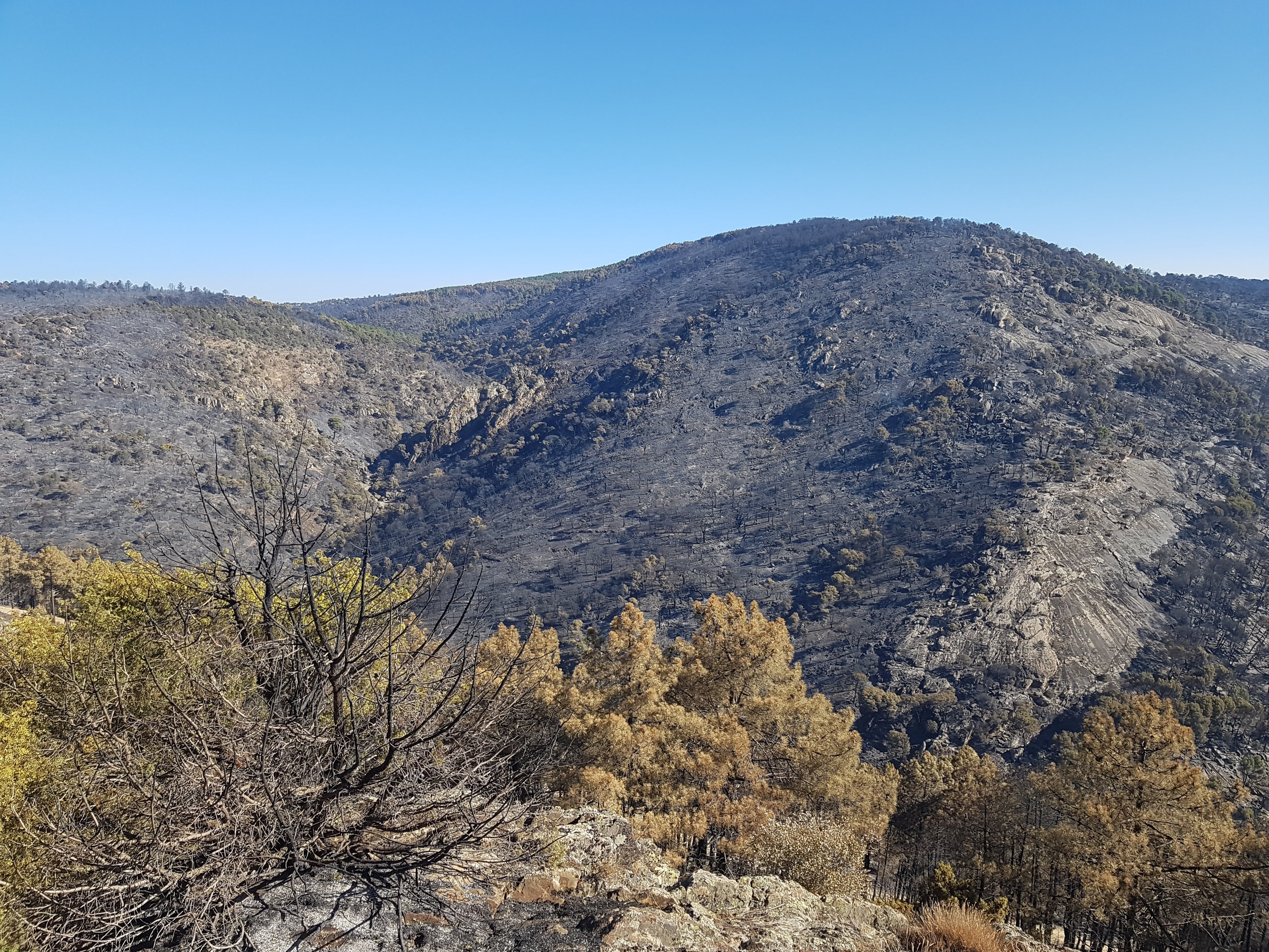 Panorámica del Barranco del Castrejón (Cebreros), completamente carbonizado