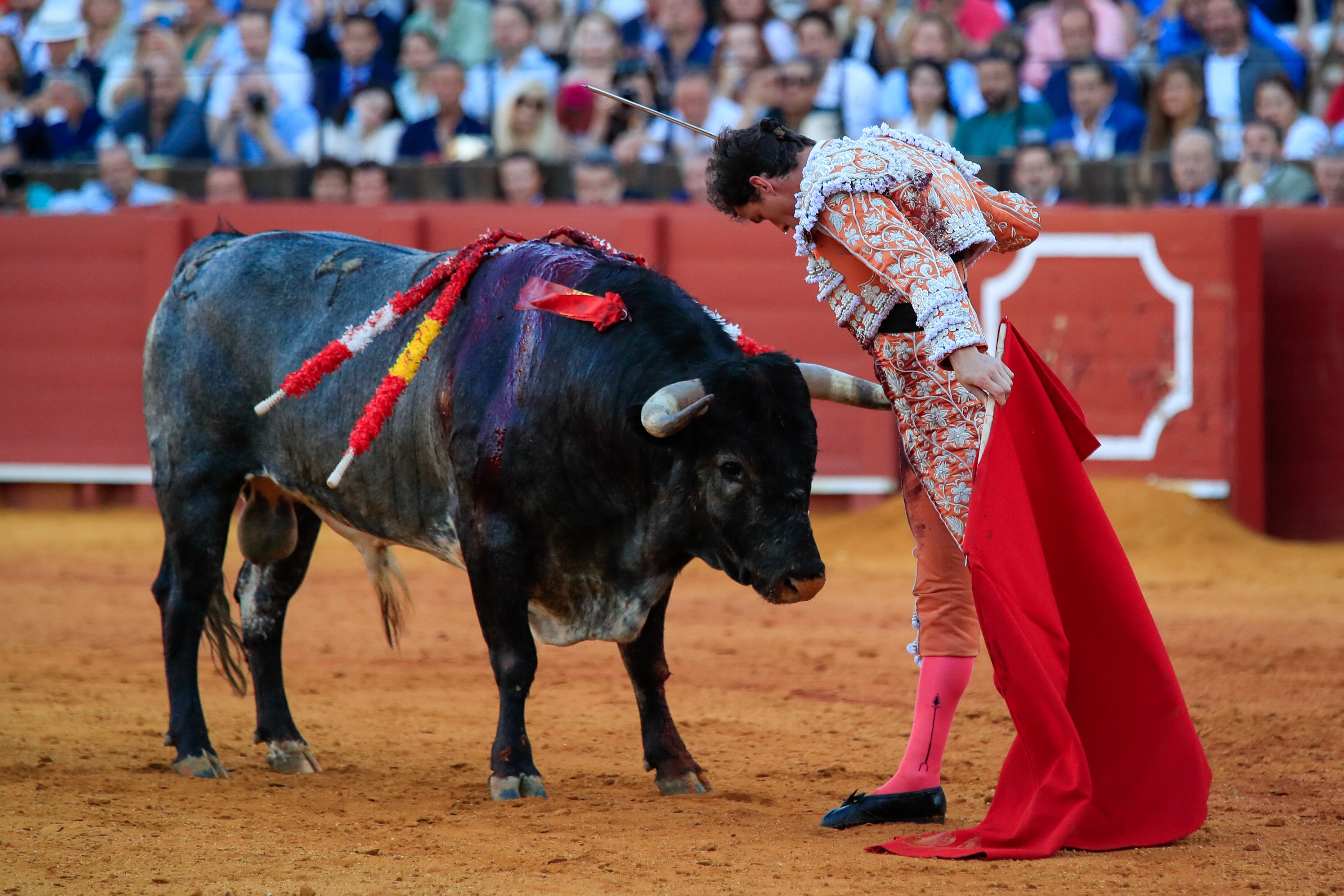 SEVILLA, 30/04/2023.- El diestro Daniel Luque con su segundo toro, de la ganadería de La Quinta, al que cortó una oreja, en la decimocuarta de abono de la Feria de Abril, esta tarde en la Real Maestranza de Sevilla. EFE/ Julio Muñoz
