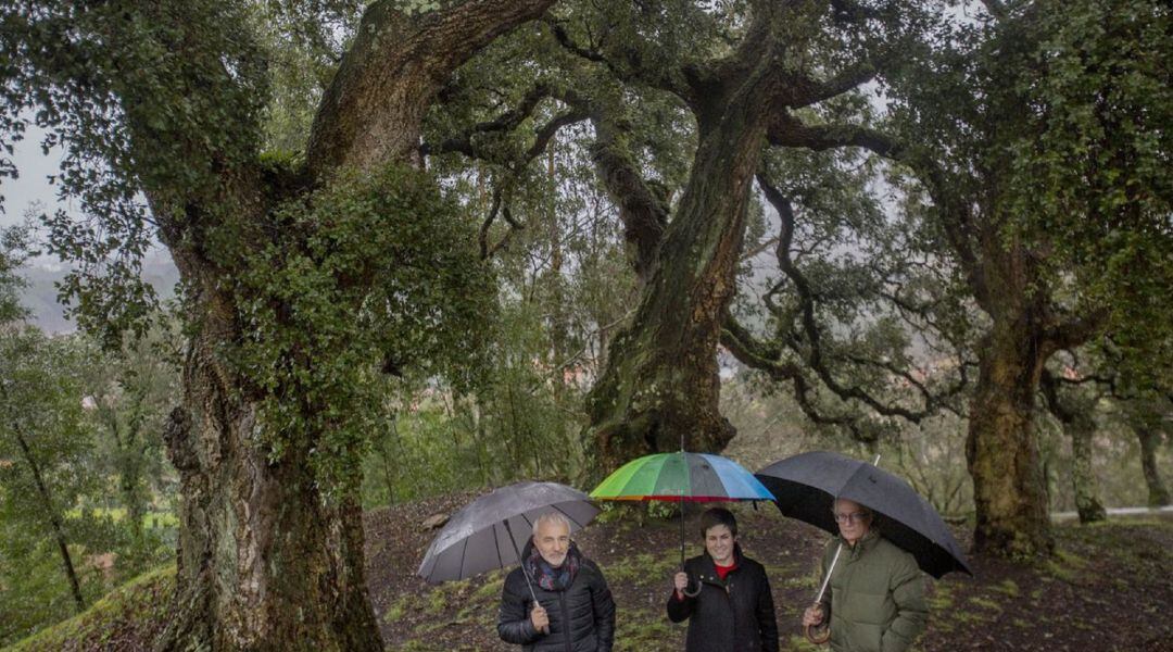 El concejal de Patrimonio, la alcaldesa de O Rosal y el presidente de la Comunidad de Montes de Eiras junto a las sobreiras de A Magdalena. 