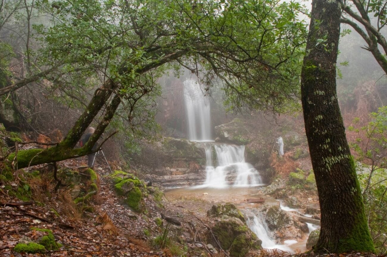 Chorrera de las Sierpes en Fuencaliente