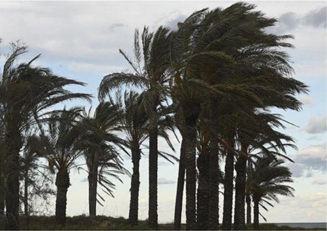 Nivel amarillo por fenómenos costeros a partir de este martes