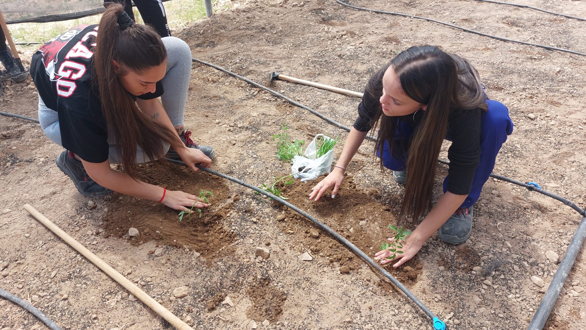 Algunas alumnas plantando algunas de las plantas en las instalaciones del &#039;Huerto Sensorial&#039;