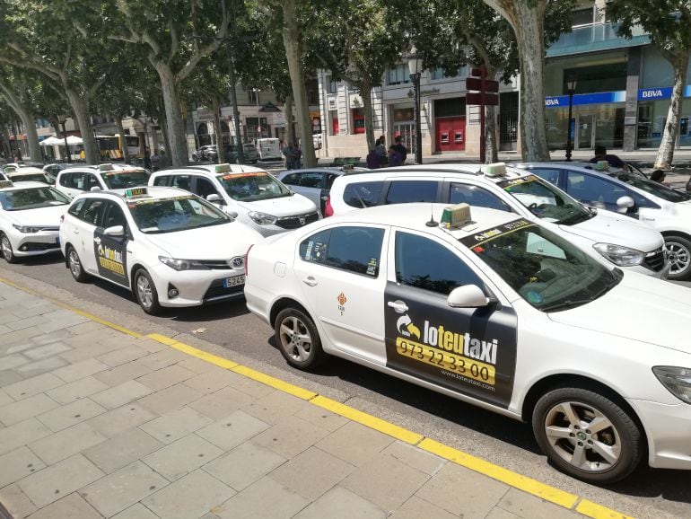La marxa lenta dels taxistes de Lleida va acabar davant la subdelegació del Govern.