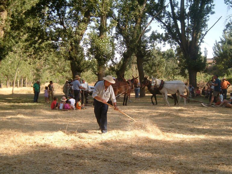 Castrillo de Villavega celebra la Fiesta de la Trilla