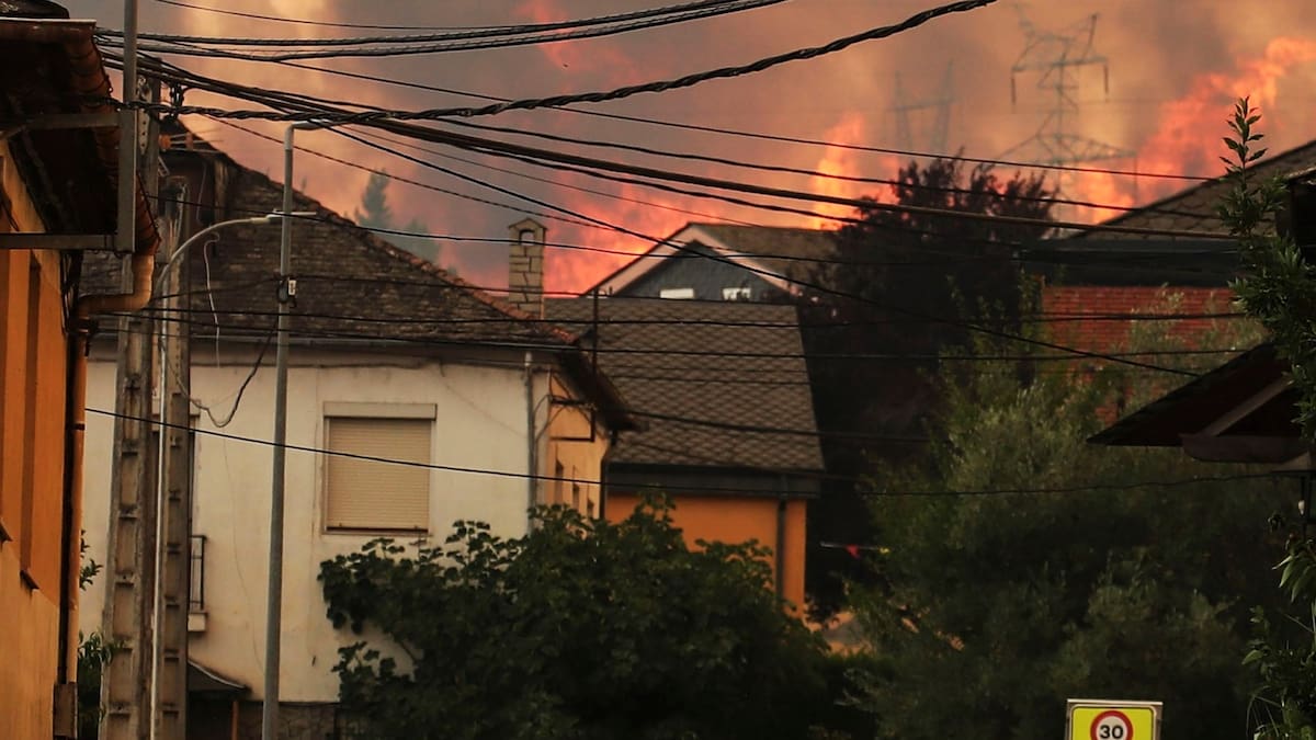 "Es como luchar con un ejército que te viene comiendo, un infierno"