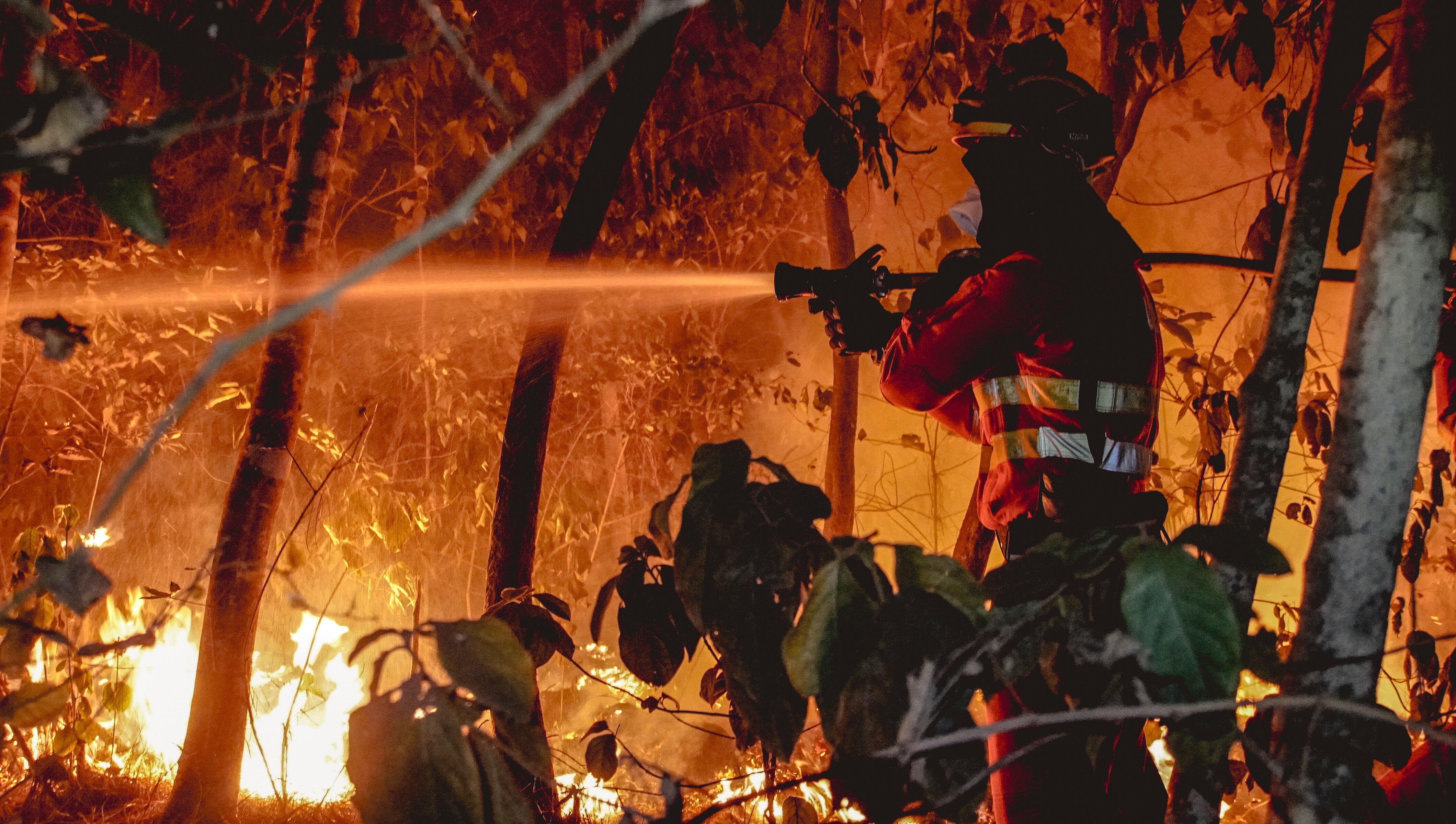 Efectivos de la UME en labores de extinción del incendio forestal que afecta a la isla de Tenerife, este sábado en las inmediaciones del municipio de Santa Úrsula.