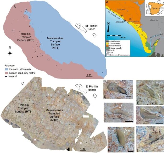 El sitio de Matalascañas (área de la Estancia El Pichilín) Fuente: Scientific Reports