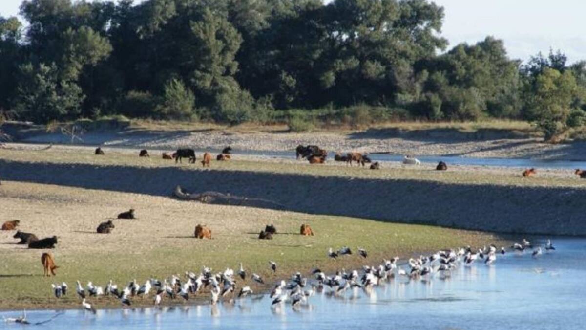 Los sonidos de los Sotos de Alfaro