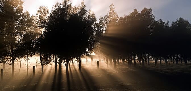 Durante este mes de enero se han sucedido numerosos casos de avistamientos OVNI en todo el mundo