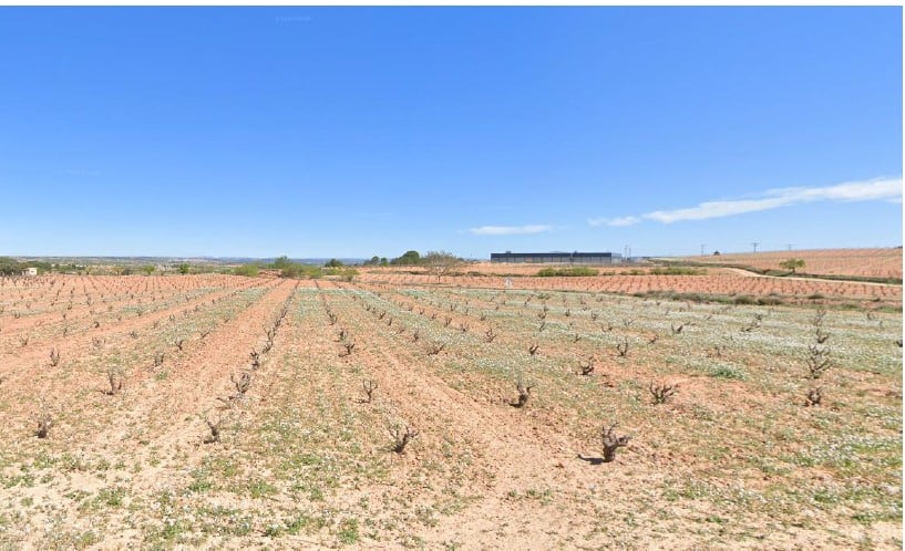 Parcela donde se ubicará la macrogranja (El Herrumblar)