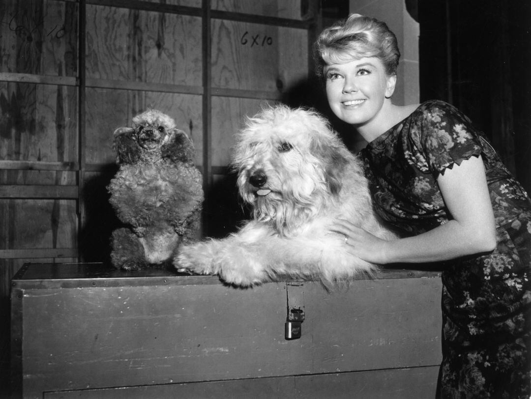 L&#039;actriu Doris Day amb dos dels seus gossos.