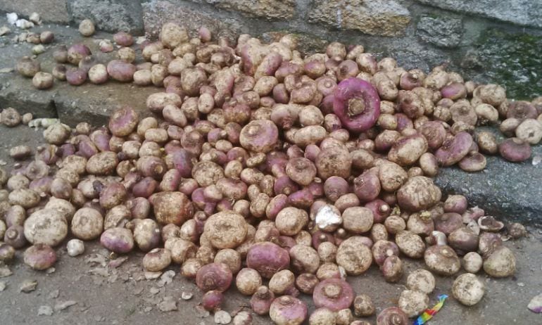 Algunos de los nabos que se arrojarán contra Jarramplas