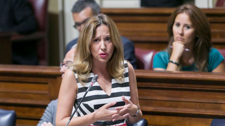 Rosa Dávila en una intervención en el Parlamento.