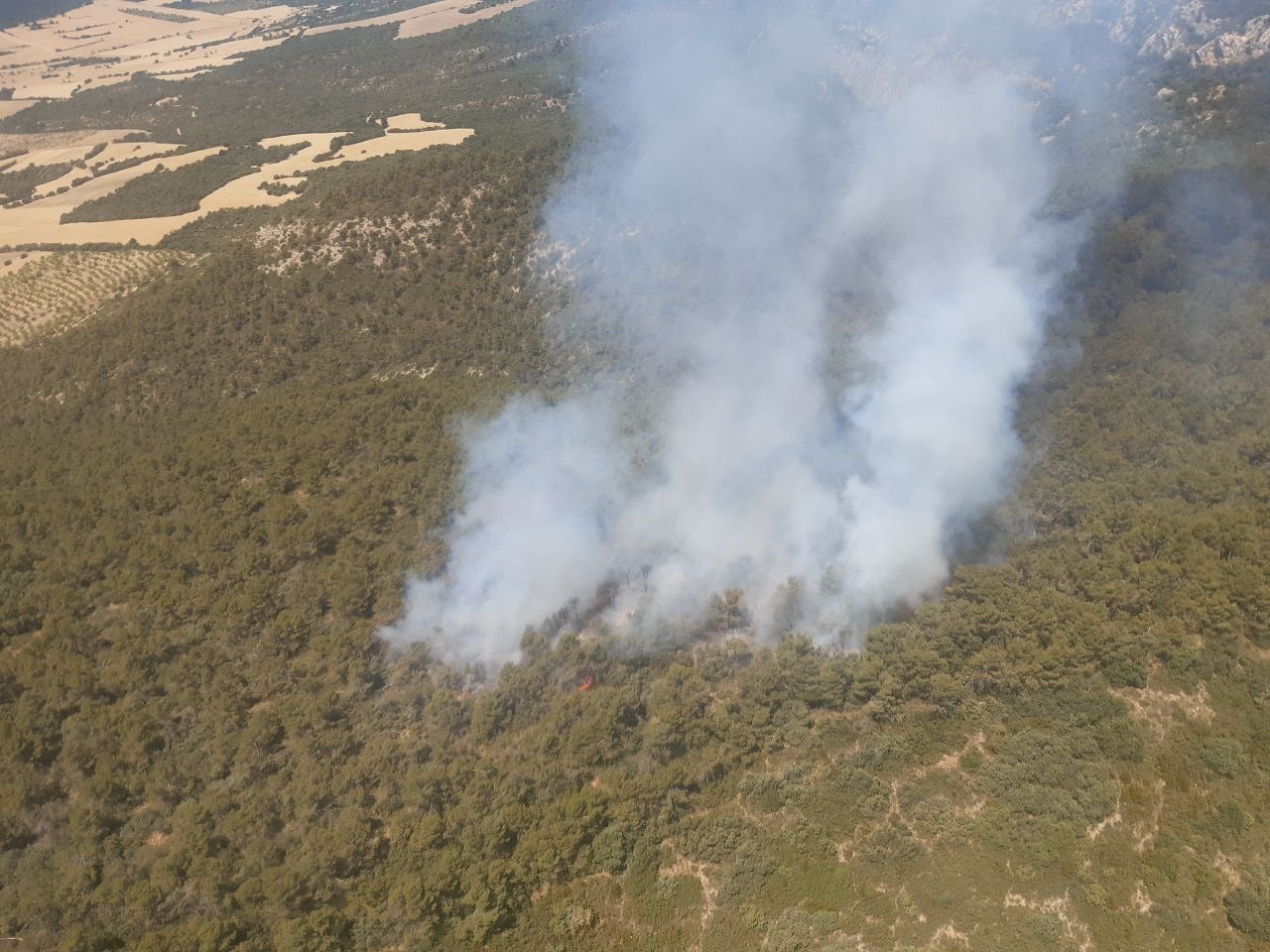 Imagen aérea del incendio declarado Estopiñán del Castillo en la Ribagorza.