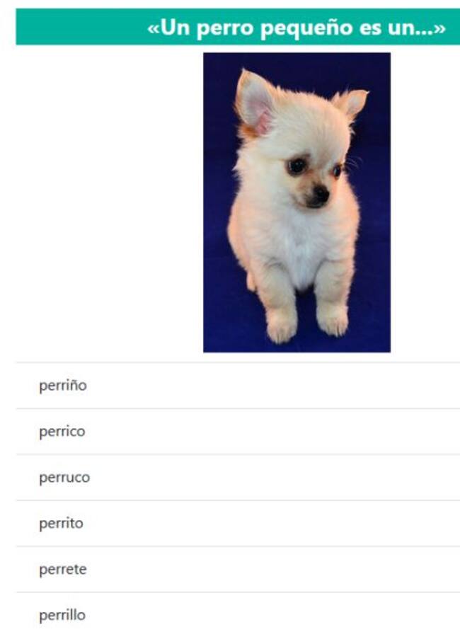 Un perro pequeño es un...