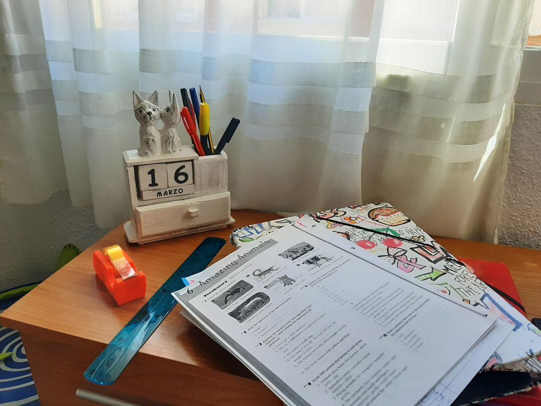 Así estudian los escolares malagueños desde casa