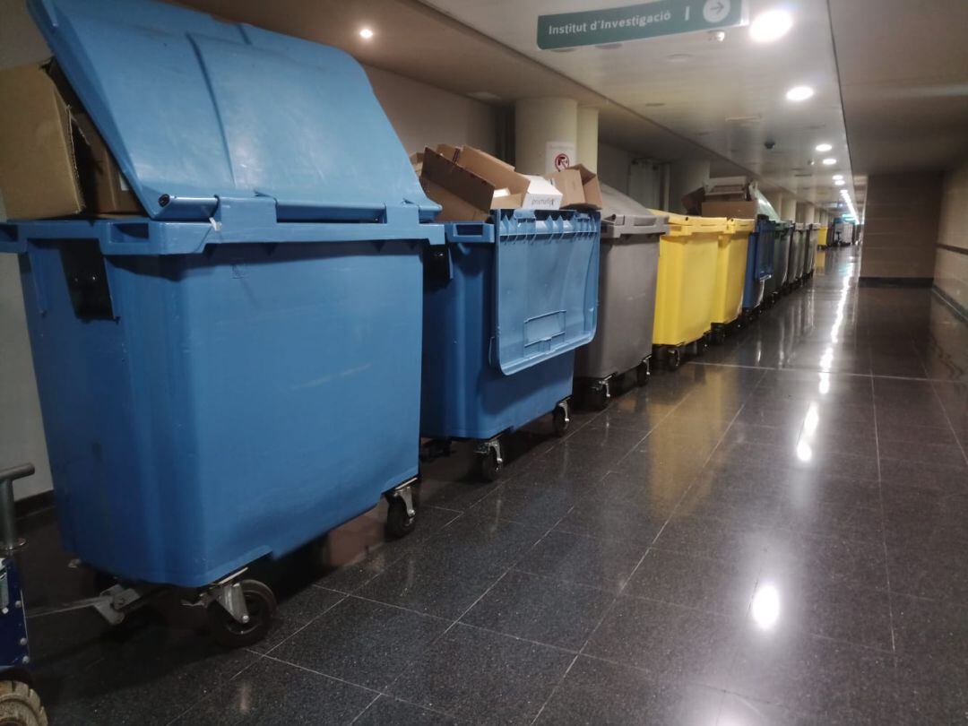 Limpieza Son Espases