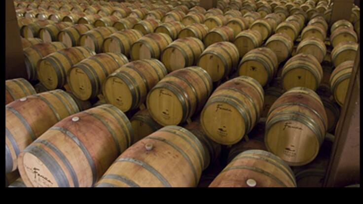 El enoturismo sale de la hibernación