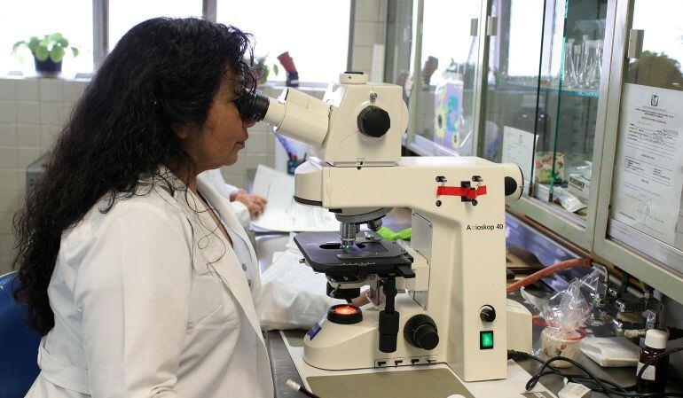 Las mujeres en nuestro país tienen un papel muy destacado en ciencia e investigación, aunque no gozan de la visibilidad que se merecen 