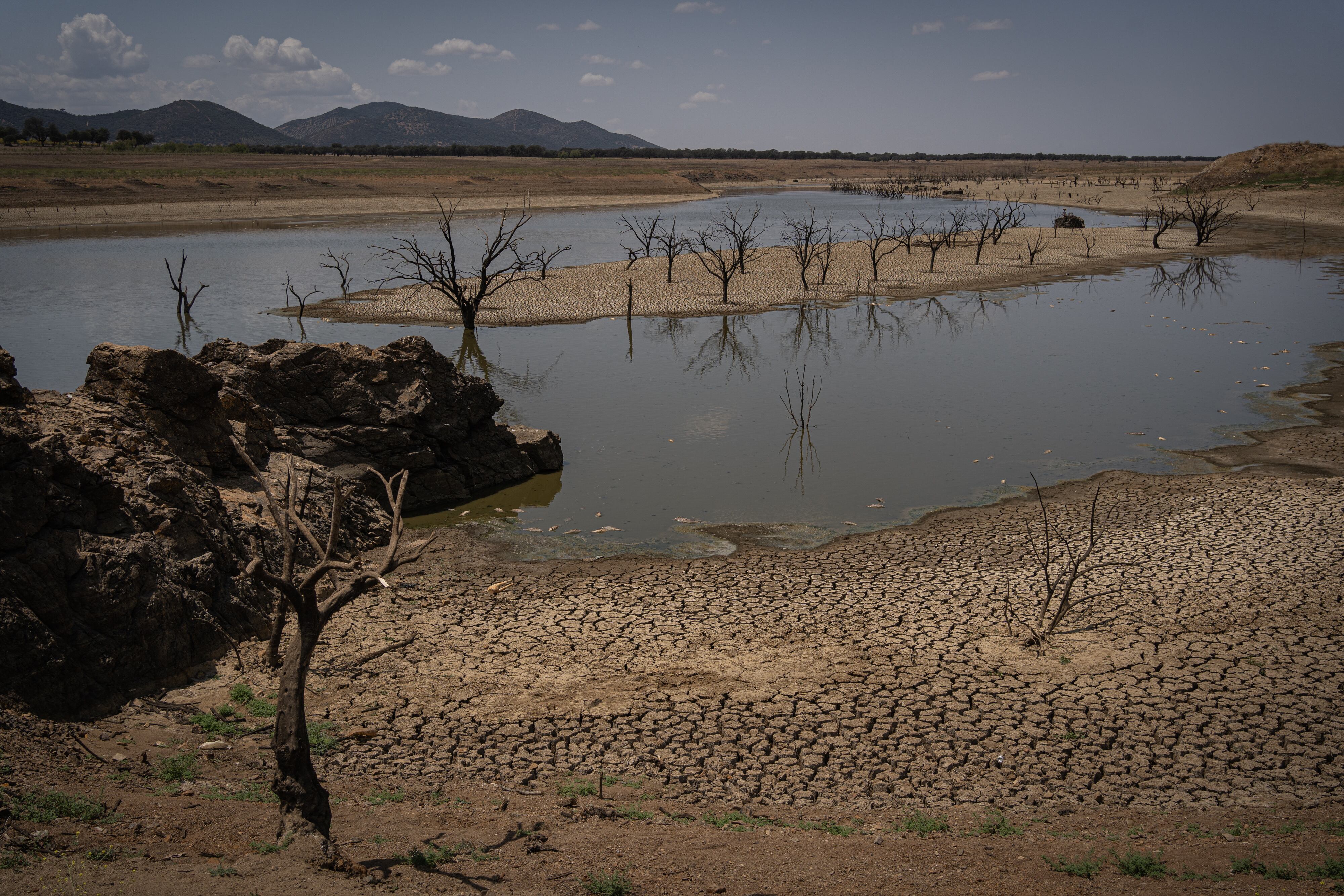 Pantano vacío en Córdoba en mayo de 2023 debido a la sequía.