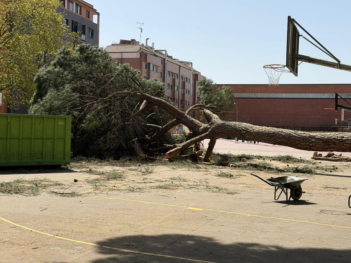 Medio Ambiente resolvió en marzo solo un tercio de las quejas vecinales registradas en Valladolid