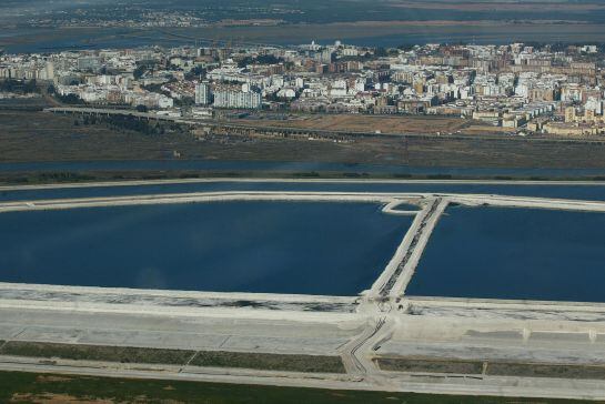 Las marismas de Río Tinto, contaminadas por vertidos tóxicos.