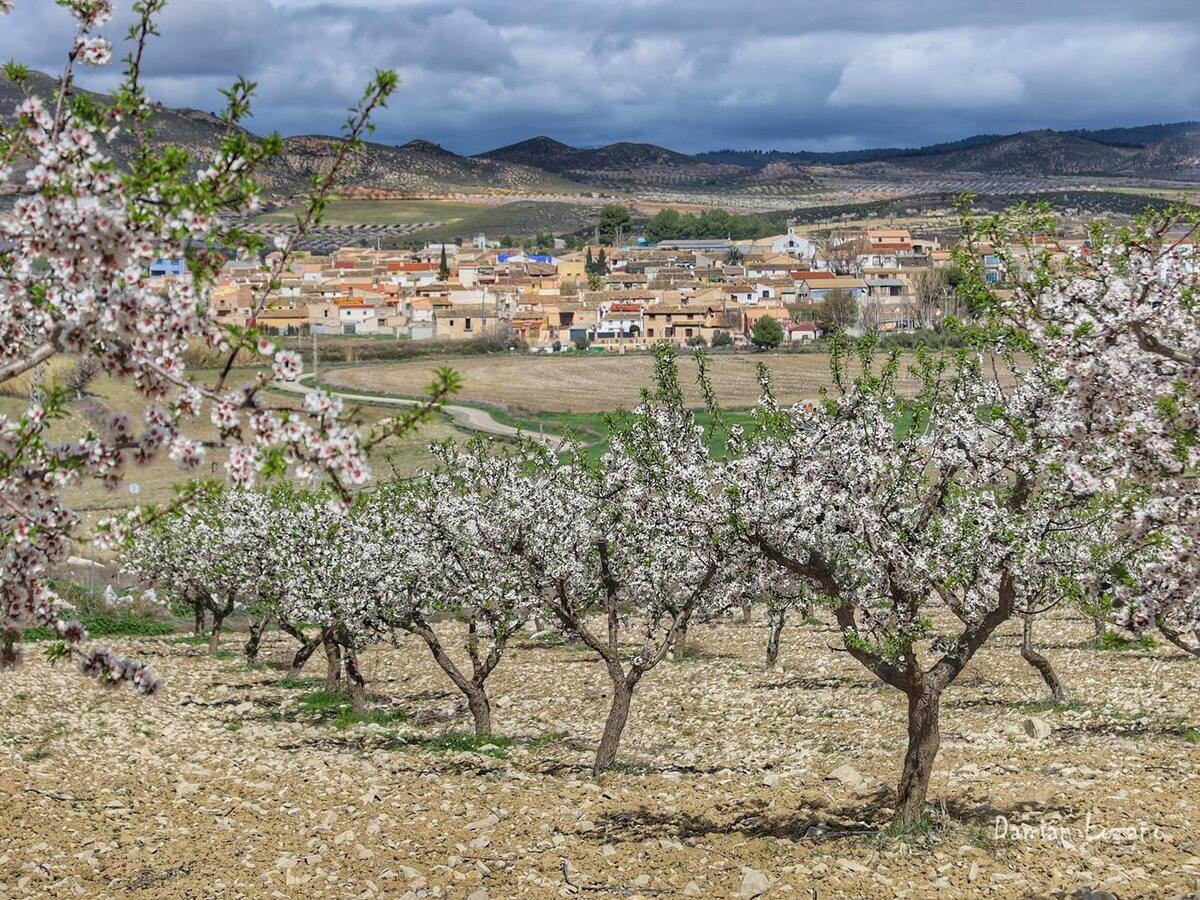 La Federación Espartaria de Lorca reivindica que se incluya a las pedanías altas en la Ruta de la Floración