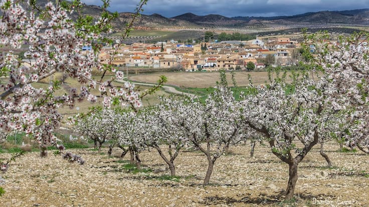 José Baraza, vicepresidente de la Federación Tierras Altas de Lorca.