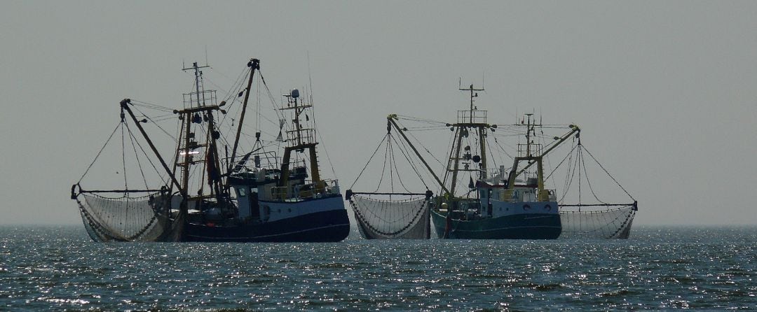 La Consellería do Mar ha dado luz verde a todos los proyectos propuestos por Galp Golfo Ártabro Sur para el sector del mar y la pesca.