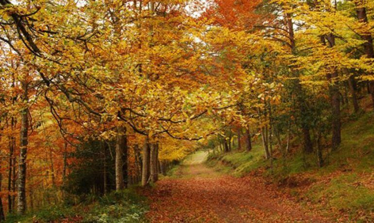 Se prevé que el otoño que comienza este jueves sea similar al verano, seco y caluroso