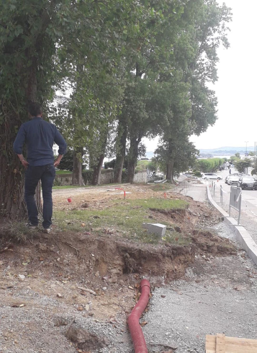 Imagen captada por ARCA en la zona donde se ha llevado a cabo la tala de árboles.