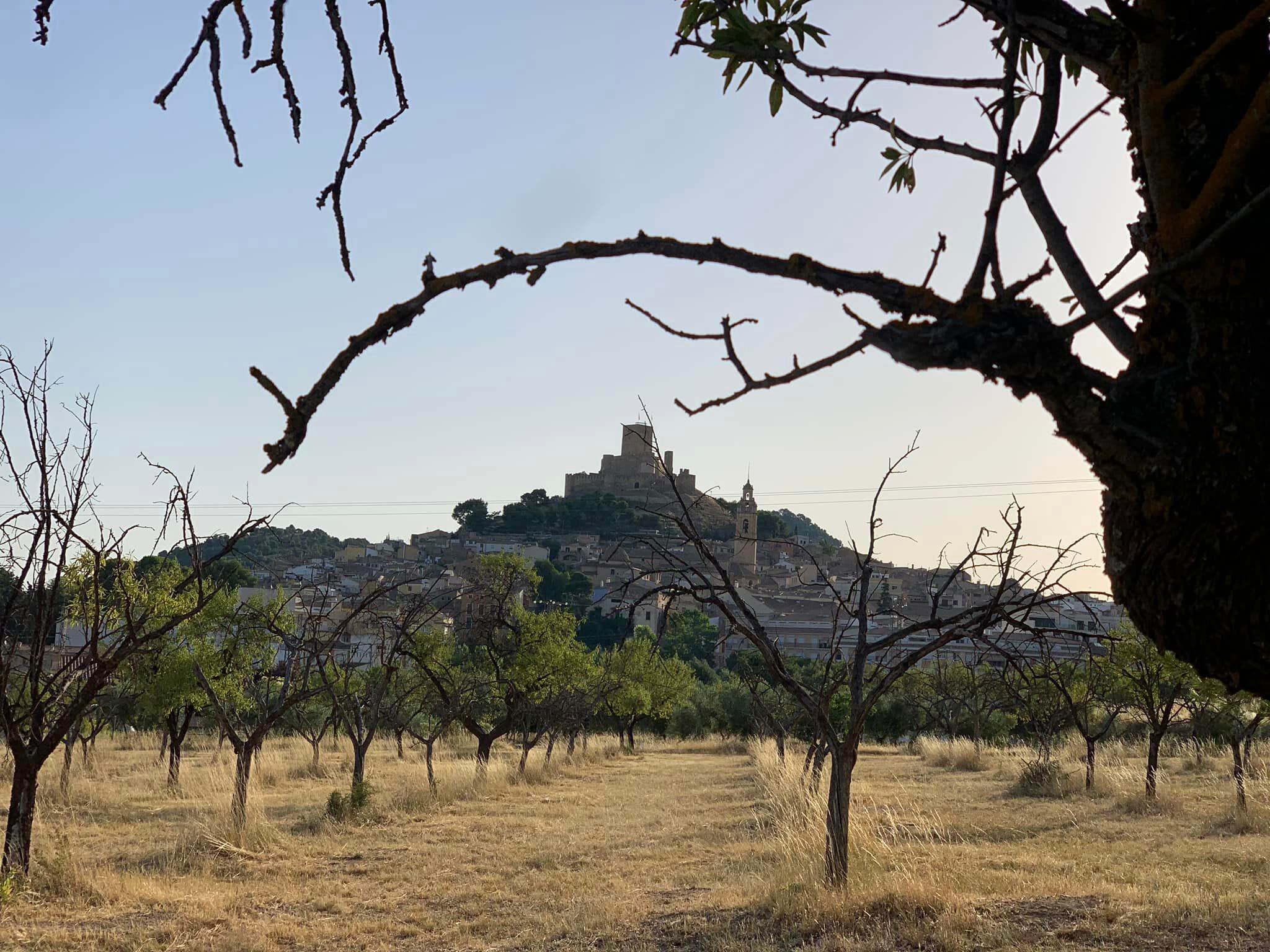 Panorámica de Biar