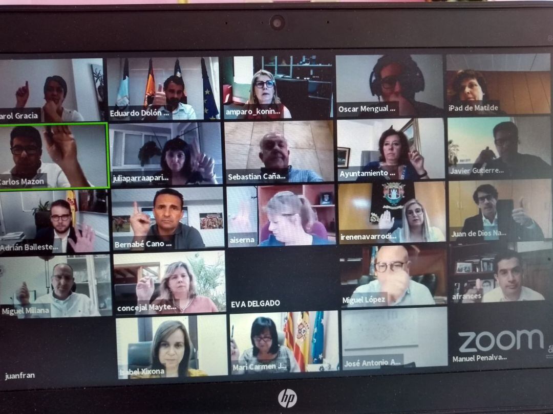 Pleno telemático del mes de junio en la Diputación.