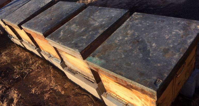 ARXIU Arnes recuperades a Torrebesses (Segrià), disposades de forma organitzada per a la producció en un camp, procedents dels robatoris patits per apicultors perellonencs a principis de gener'16