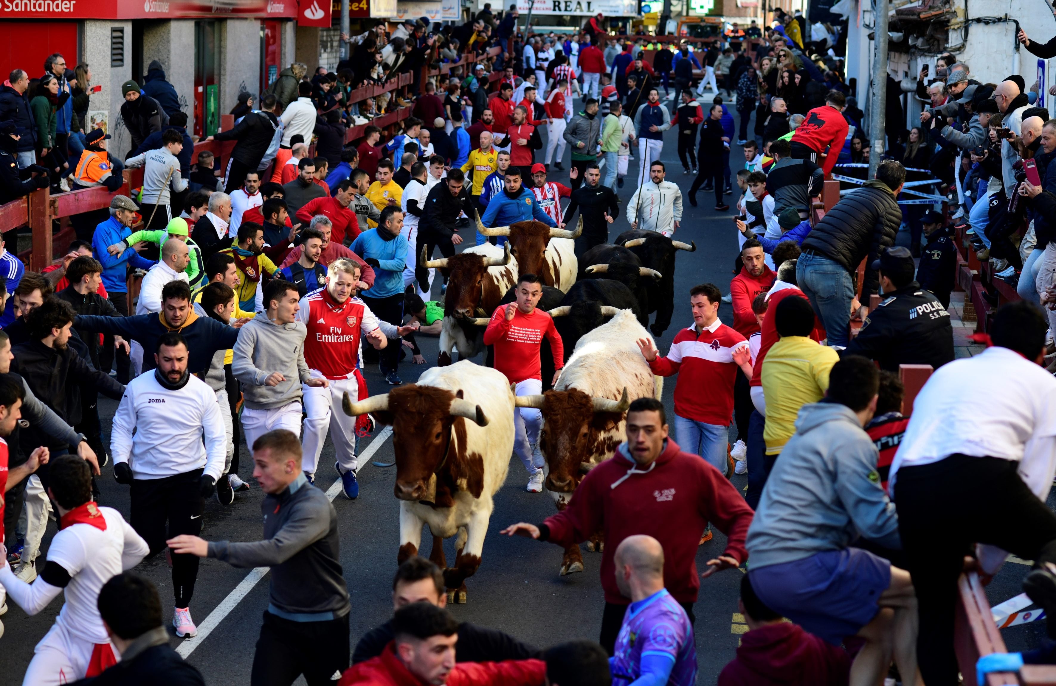 Uno de los encierros blancos que se celebran en enero en San Sebastián de los Reyes