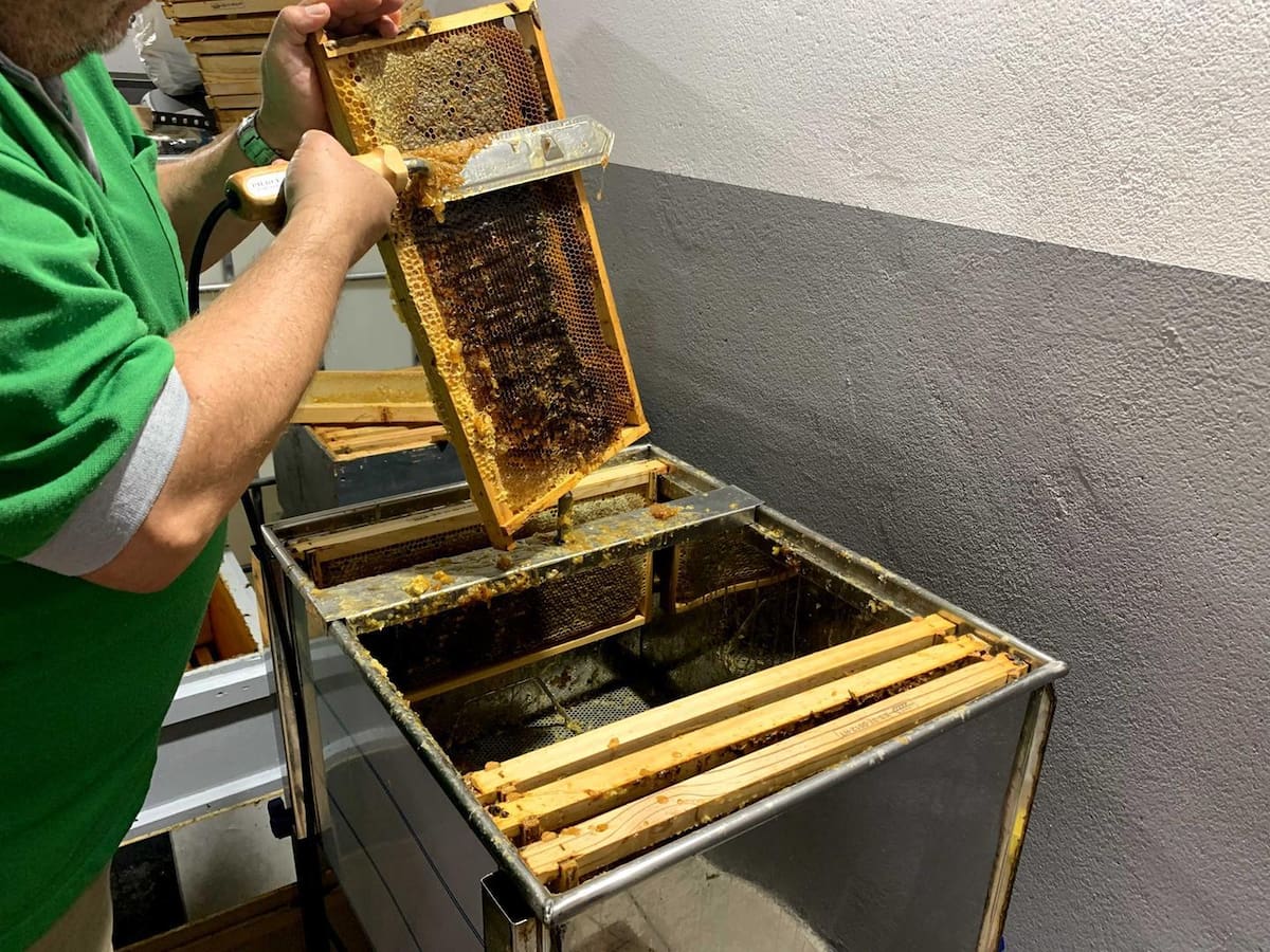 Convocatoria de ayudas a la apicultura en Castilla-La Mancha