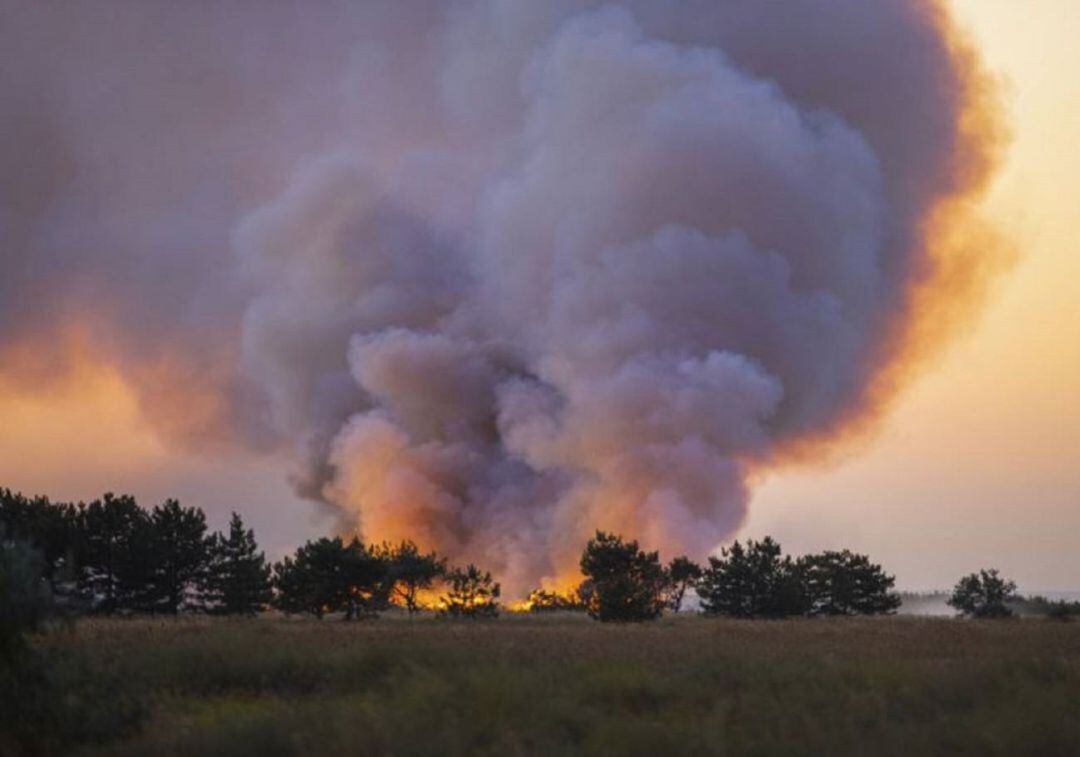 La Junta licita un servicio de retén de maquinaria para la prevención de incendios forestales