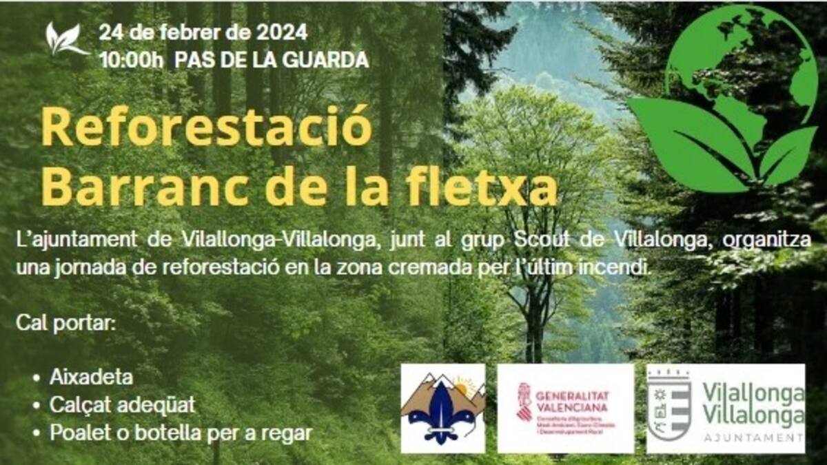 Villalonga organiza una jornada de reforestación en el Barranc de la fletxa