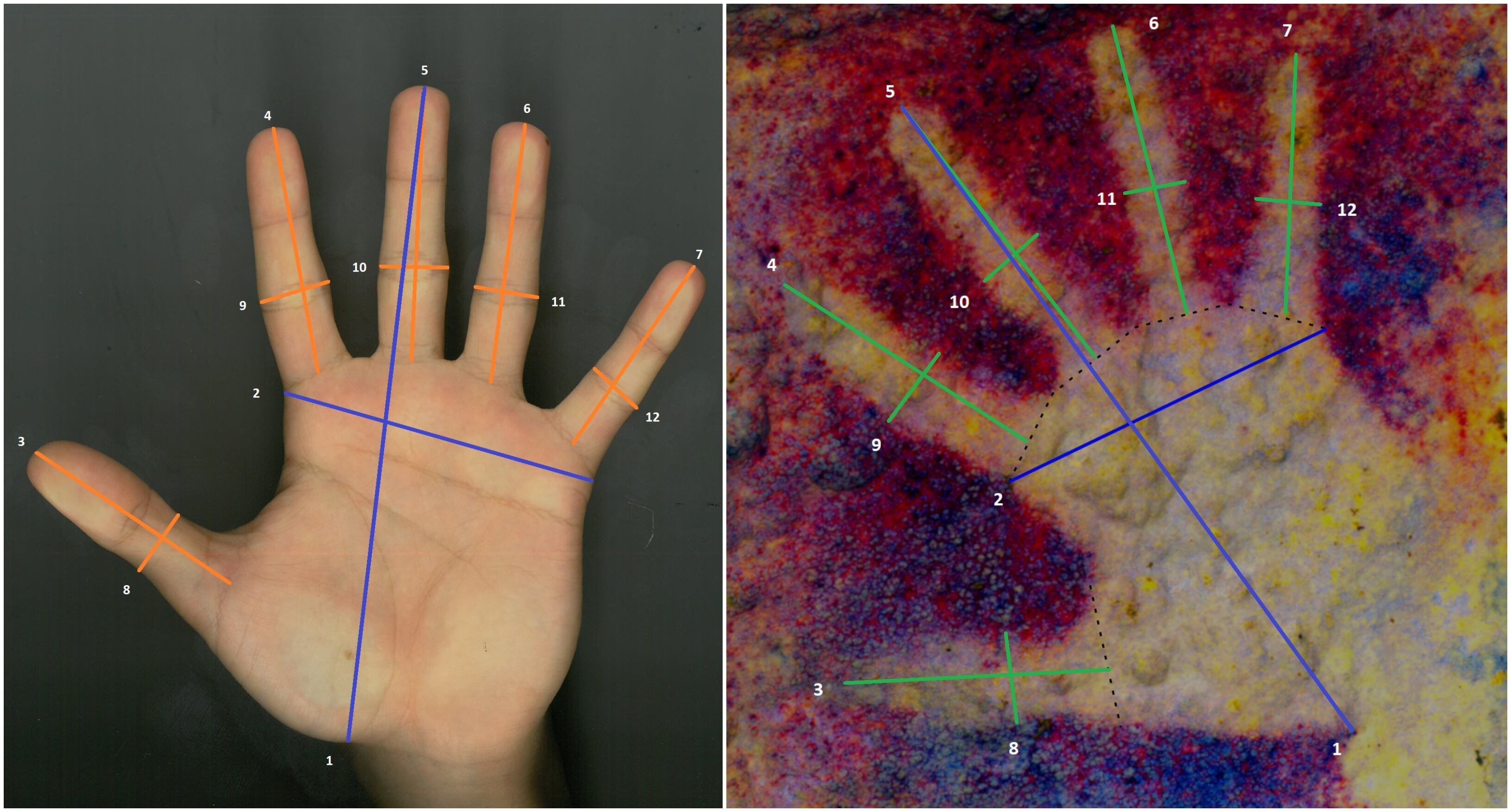 Representación de una mano infantil hallada en una cueva.