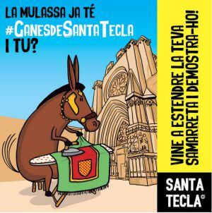 La mulassa també té ganes de Santa Tecla