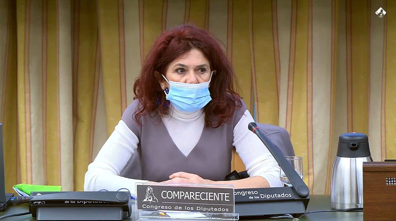 Teresa Vicente, profesora de Filosofía del Derecho e impulsora de la ILP del Mar Menor surante su intervención en el la Comisión de transición ecológica del Congreso