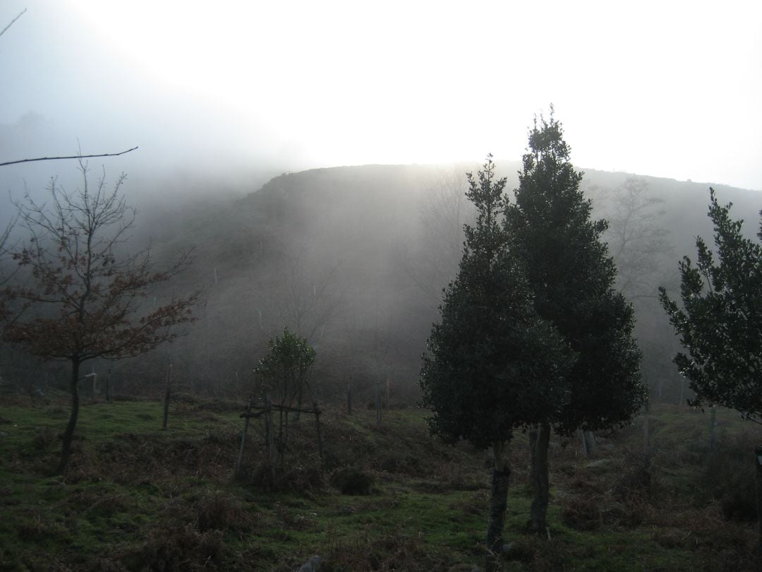 Cantabria amanece con bancos de niebla.