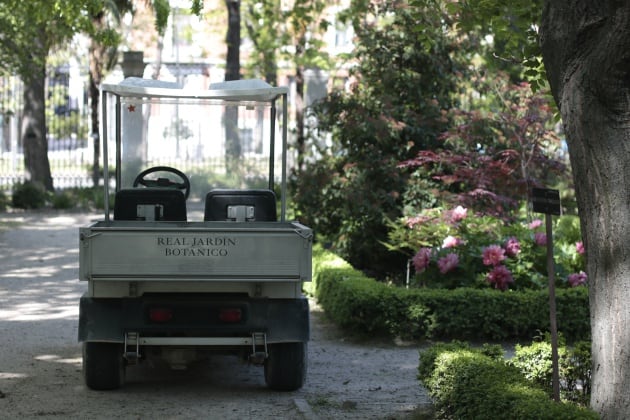 &quot;Nuestra voluntad es que el día que vuelva a abrir el jardín, la gente pueda disfrutarlo en plenitud&quot;